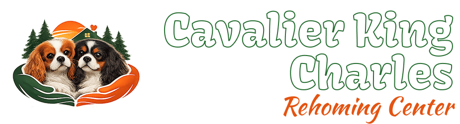 Cavalier King Charles Rehoming Center