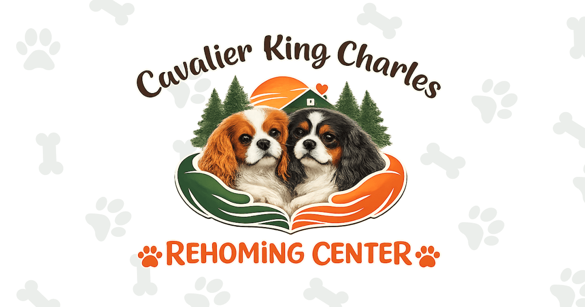 Cavalier King Charles Rehoming Center