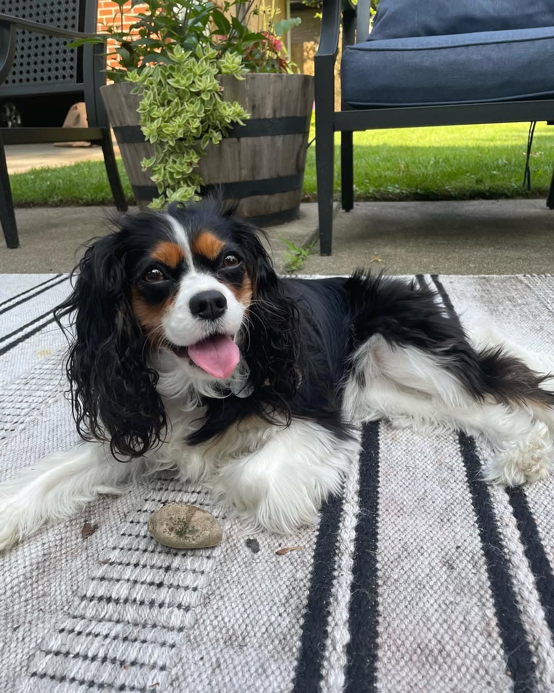 Ellie
