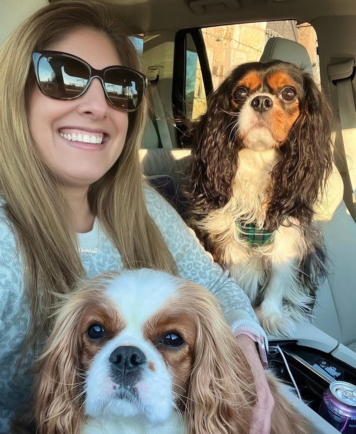 Pet nanny transport