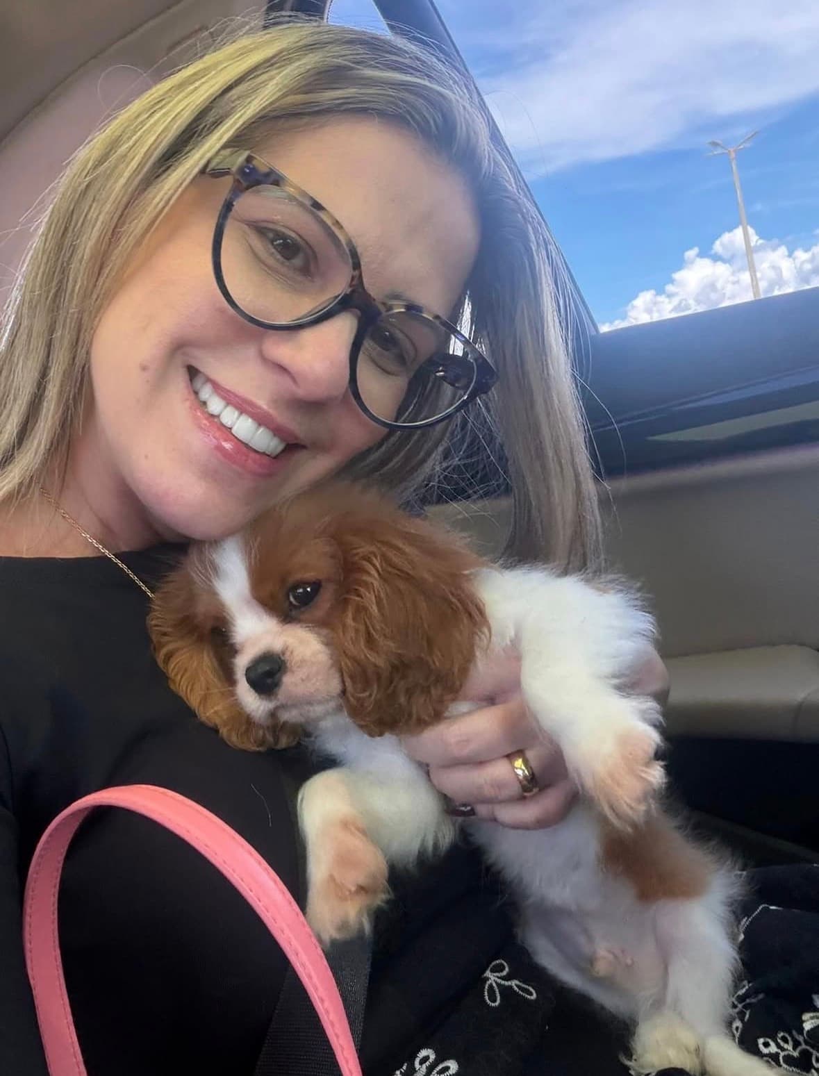Pet nanny transport
